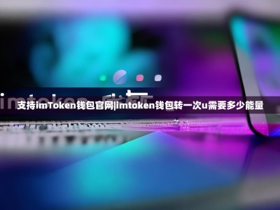 支持imToken钱包官网|imtoken钱包转一次u需要多少能量
